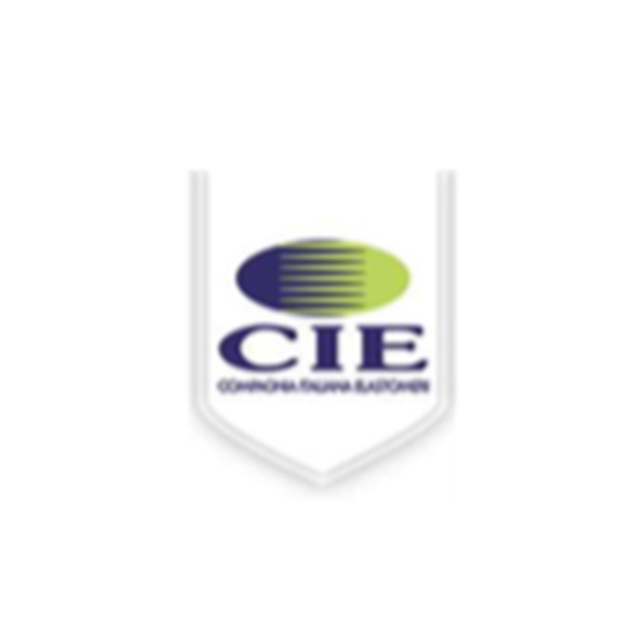 logo-cie